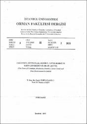 Küçük Resim