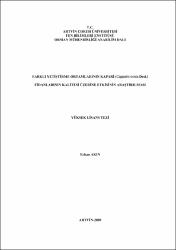 Küçük Resim
