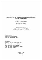 Küçük Resim
