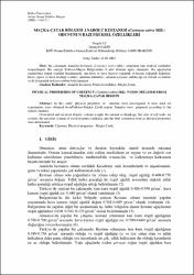 Küçük Resim
