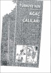 Küçük Resim