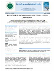 Küçük Resim