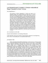 Küçük Resim