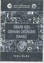 Küçük Resim