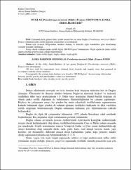 Küçük Resim