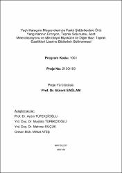 Küçük Resim